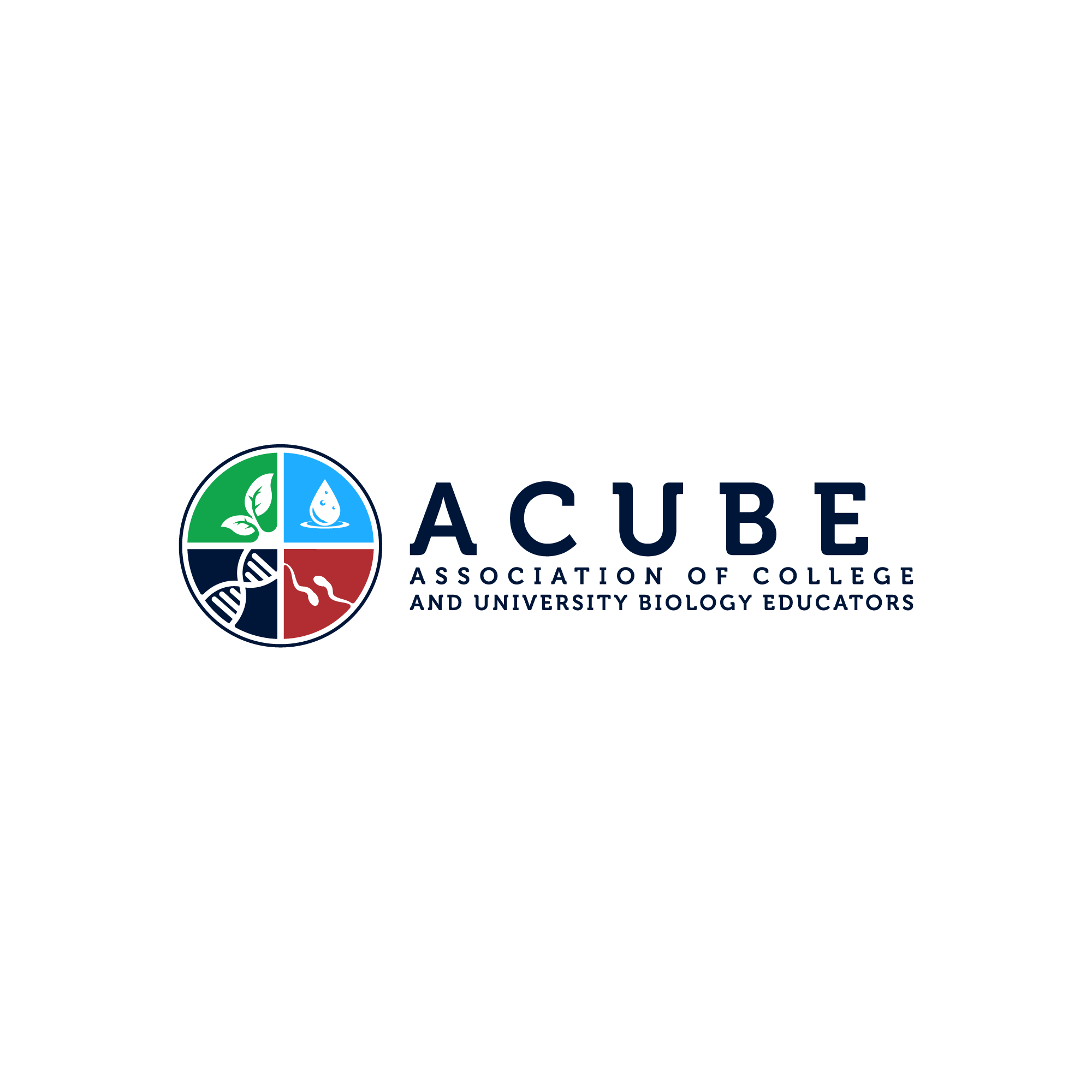 ACUBE logo horizontal